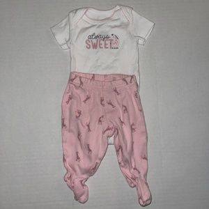 Carter’s - pink giraffe outfit